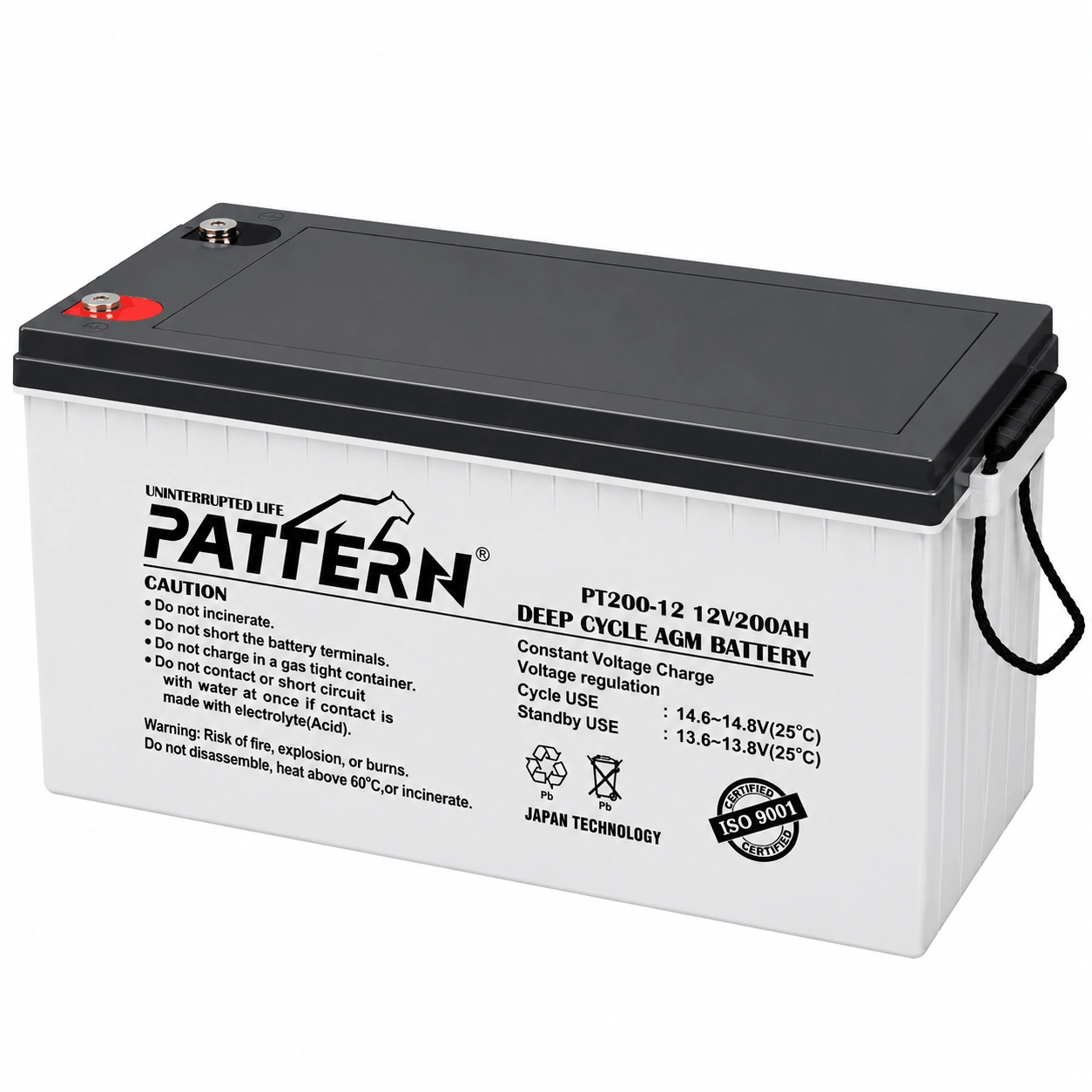 PATTERN Lead Acid Batteries